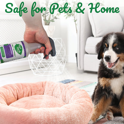 Mint Guards Flea & Tick Repellant for Dogs 16 Fl Oz Spray
